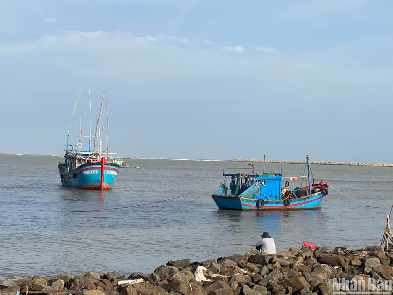 Các tàu cá của ngư dân thành phố Tuy Hòa di chuyển vào nơi tránh trú bão.