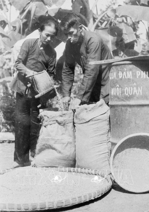 Gia đình một nông dân ở xã Ân Phong, huyện Hoài Ân, tỉnh Bình Định ủng hộ lúa cho cách mạng, góp phần nuôi quân chiến đấu. (Ảnh: Thành Vinh - TTXVN)