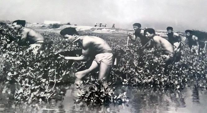 Trong kháng chiến chống Mỹ, cứu nước, lực lượng Đặc công hải quân đã dũng cảm, mưu trí, sáng tạo ra cách đánh đặc công nước độc đáo, táo bạo trên chiến trường Cửa Việt - Ðông Hà (Quảng Trị), đánh chìm, đánh hỏng hơn 300 tàu chiến của Mỹ - ngụy, phá hủy nhiều phương tiện chiến tranh, lập nên chiến công đặc biệt xuất sắc. Trong ảnh: Đặc công hải quân luyện tập đánh địch tại căn cứ Vĩnh Linh, Quảng Trị. (Ảnh: Tư liệu/TTXVN phát) Trong kháng chiến chống Mỹ, cứu nước, lực lượng Đặc công hải quân đã dũng cảm, mưu trí, sáng tạo ra cách đánh đặc công nước độc đáo, táo bạo trên chiến trường Cửa Việt - Ðông Hà (Quảng Trị), đánh chìm, đánh hỏng hơn 300 tàu chiến của Mỹ - ngụy, phá hủy nhiều phương tiện chiến tranh, lập nên chiến công đặc biệt xuất sắc. Trong ảnh: Đặc công hải quân luyện tập đánh địch tại căn cứ Vĩnh Linh, Quảng Trị. (Ảnh: Tư liệu/TTXVN phát)