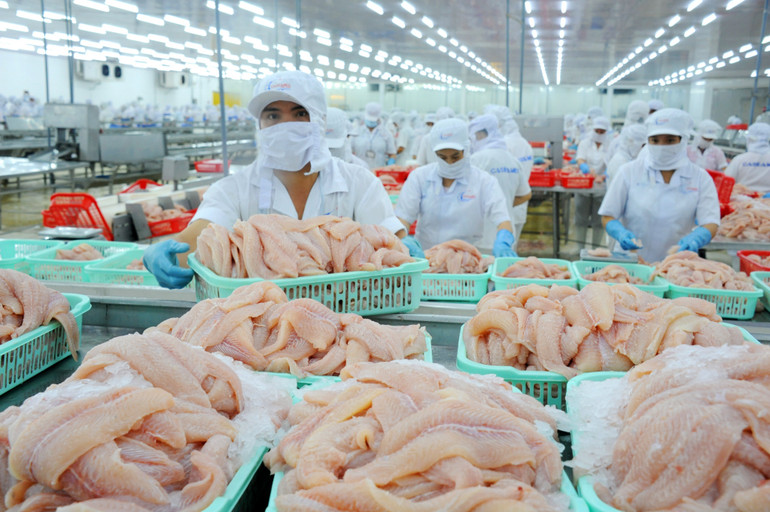 Thủy sản là mặt hàng xuất khẩu tiềm năng sang thị trường Trung Quốc. (Ảnh: LÊ HOÀNG VŨ)