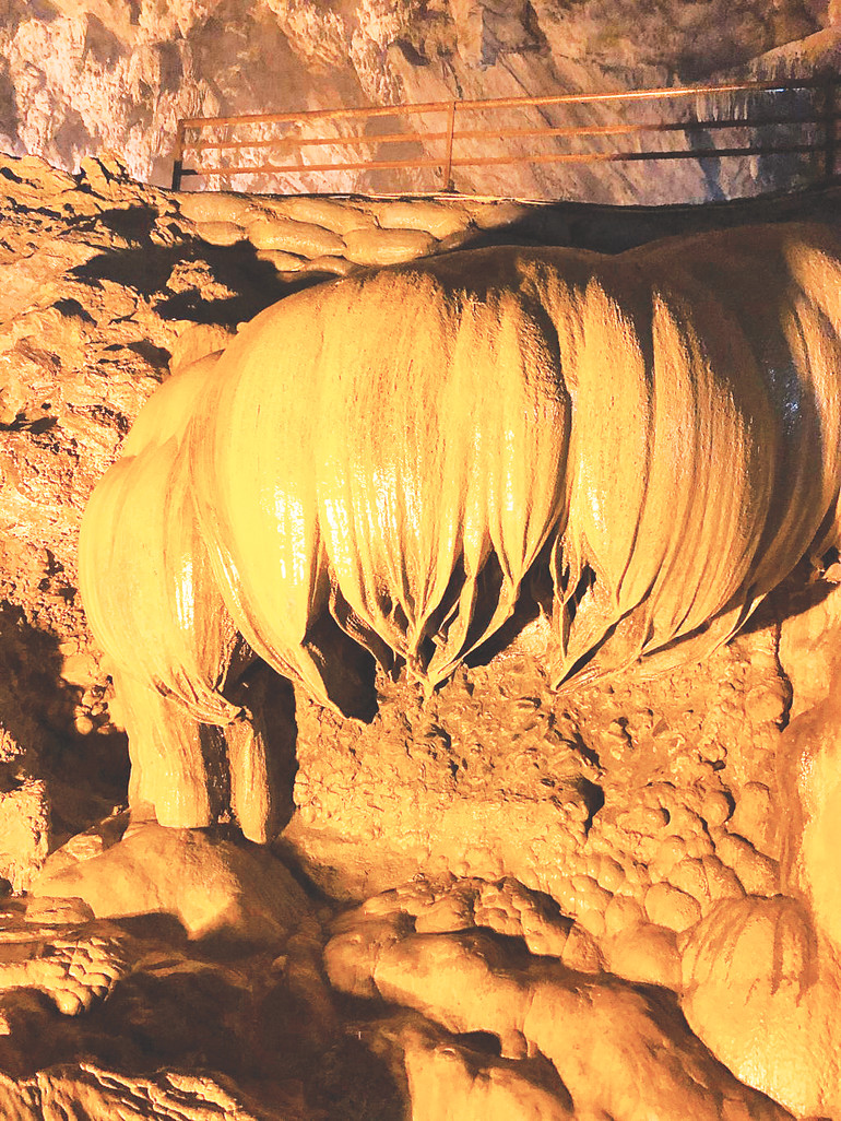 Búp sen lộn ngược trong động Ngườm Ngao.