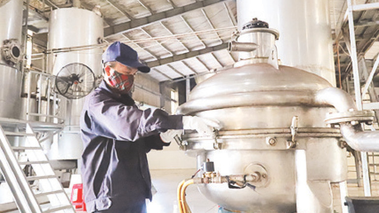 Một doanh nghiệp đầu tư chế biến cà-phê hòa tan tại Khu công nghiệp Hòa Phú, thành phố Buôn Ma Thuột.