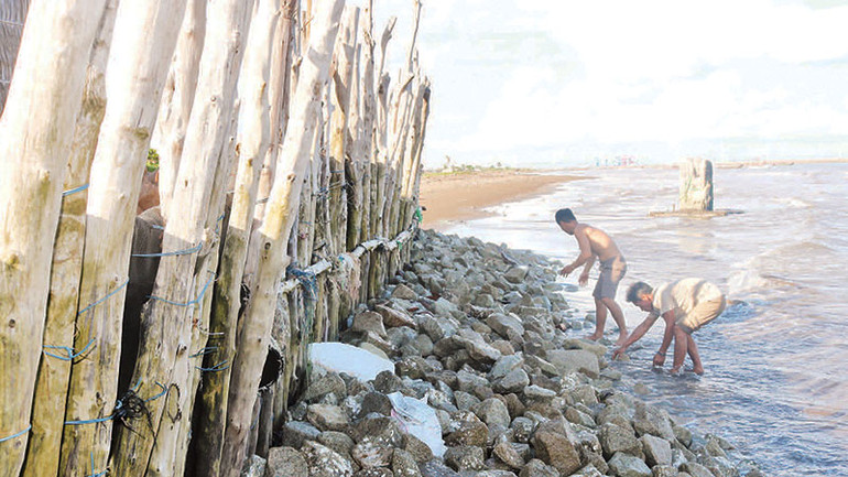 3. Gia đình ông Đỗ Văn Núi, ấp Đông Thành, xã Đông Hải dùng cây, vải bạt, đá gia cố chống sạt lở đất, bảo vệ nhà ở. 3. Gia đình ông Đỗ Văn Núi, ấp Đông Thành, xã Đông Hải dùng cây, vải bạt, đá gia cố chống sạt lở đất, bảo vệ nhà ở.