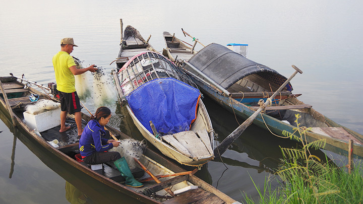 Các hoạt động khai thác thủy sản trên sông Kiến Giang. Các hoạt động khai thác thủy sản trên sông Kiến Giang.