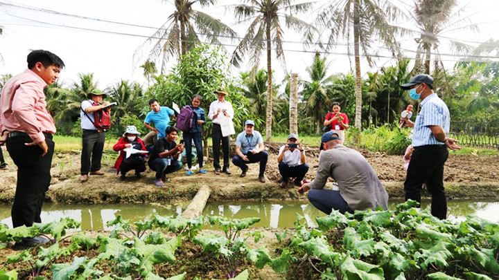 Chuyên gia Hà Lan tư vấn nông nghiệp tại đồng bằng sông Cửu Long. Ảnh: BNNPTNT