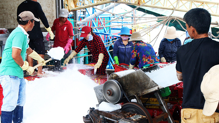 Xay đá lạnh đưa xuống tàu chuẩn bị ra khơi. Xay đá lạnh đưa xuống tàu chuẩn bị ra khơi.