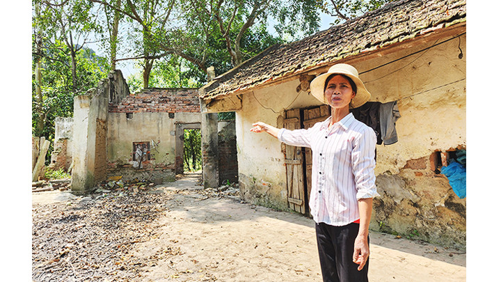 Nhiều lô đất được lãnh đạo UBND thị trấn Quý Lộc bán theo hình thức chỉ tay. Nhiều lô đất được lãnh đạo UBND thị trấn Quý Lộc bán theo hình thức chỉ tay.