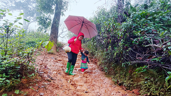 Con đường đến trường.