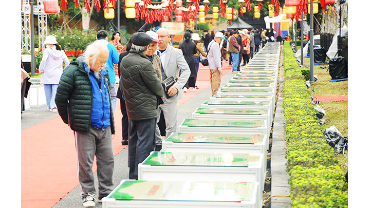 Thưởng thức những câu thơ hay trên Đường thơ.