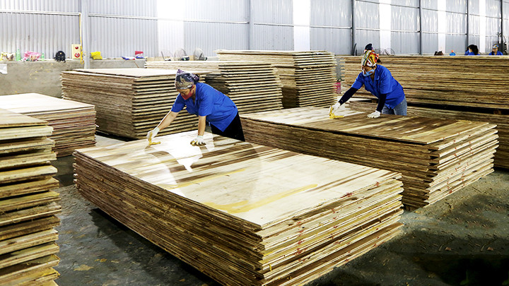 Chế biến gỗ xuất khẩu tại Khu công nghiệp Thanh Bình.