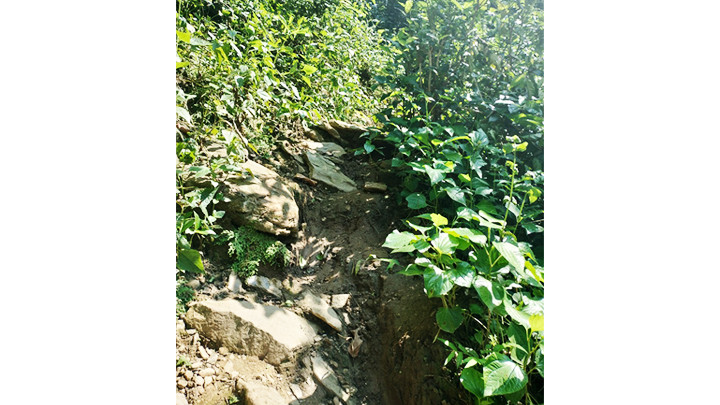 Lối lên đỉnh “Dốc O Hòa” cách trụ sở UBND xã Mường Típ 12 km.