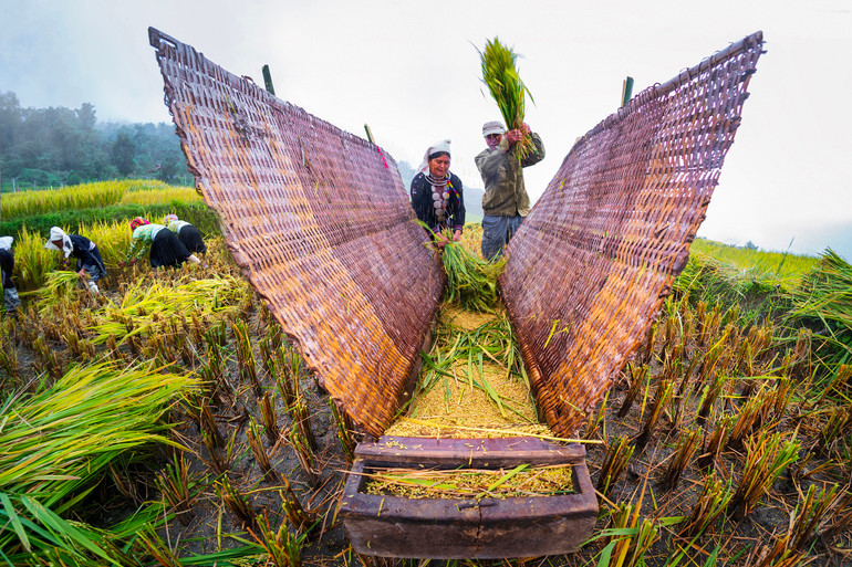 Vũ điệu mùa nếp ở Na Hang. Ảnh: NGUYỄN VŨ HẬU (Huy chương đồng)