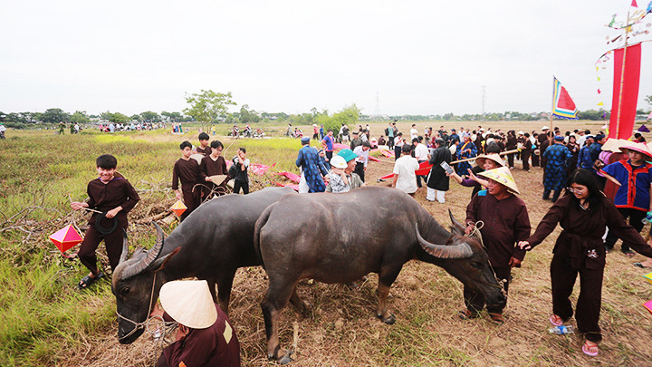 Lễ hội tái hiện hình ảnh mục đồng. Lễ hội tái hiện hình ảnh mục đồng.