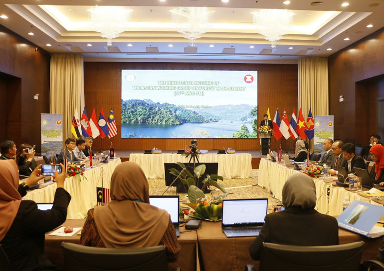 Toàn cảnh "Hội nghị Tổ công tác ASEAN về quản lý rừng (ASEAN Working Group on Forest Management viết tắt là AWG-FM) lần thứ 19". Toàn cảnh "Hội nghị Tổ công tác ASEAN về quản lý rừng (ASEAN Working Group on Forest Management viết tắt là AWG-FM) lần thứ 19".