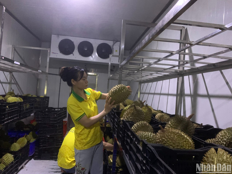 Hệ thống kho lạnh và xưởng chế biến cấp chứng nhận hệ thống quản lý ATTP - ISO22000: 2018.