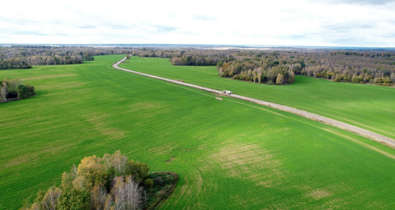 Những cánh đồng nguyên liệu của TH tại Liên bang Nga.