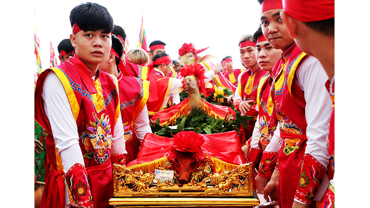 Đội khiêng kiệu dâng lễ tam sinh tại đình gồm trâu tơ, dê và lợn.
