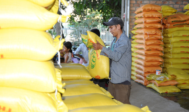 Diễn biến thị trường gạo trên thế giới đang tạo ra nhiều cơ hội cho xuất khẩu gạo của Việt Nam. Ảnh: BắC SƠN