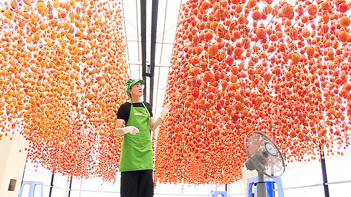 Hồng treo gió đã trở thành một đặc sản quen thuộc ở Đà Lạt. Hồng treo gió đã trở thành một đặc sản quen thuộc ở Đà Lạt.