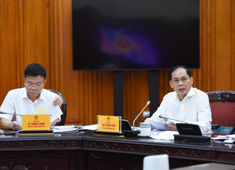 Phó Thủ tướng, Bộ trưởng Ngoại giao Bùi Thanh Sơn phát biểu tại cuộc họp.