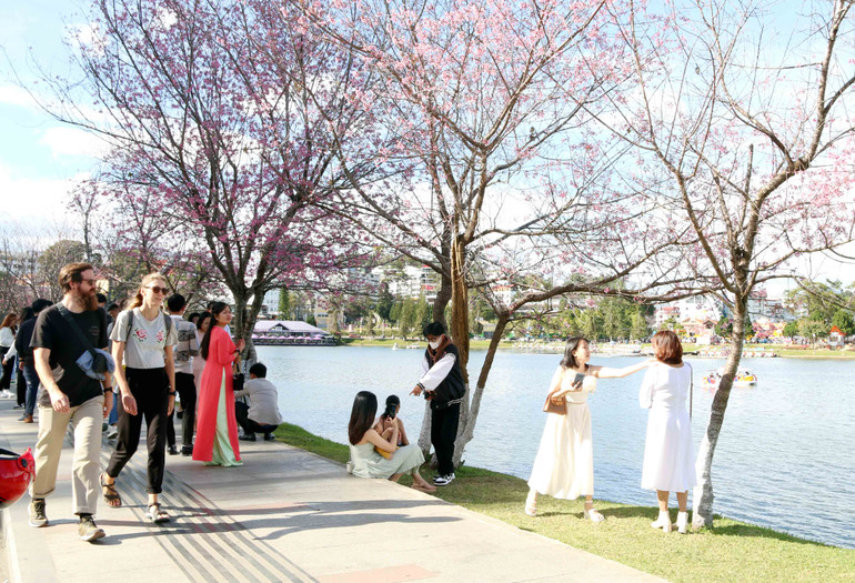 Du khách trải nghiệm mùa xuân phố núi Đà Lạt. (Ảnh: MAI VĂN BẢO)