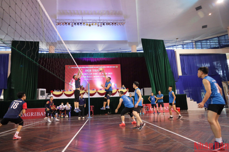 Thi đấu môn bóng chuyền tại Hội thao Agribank.