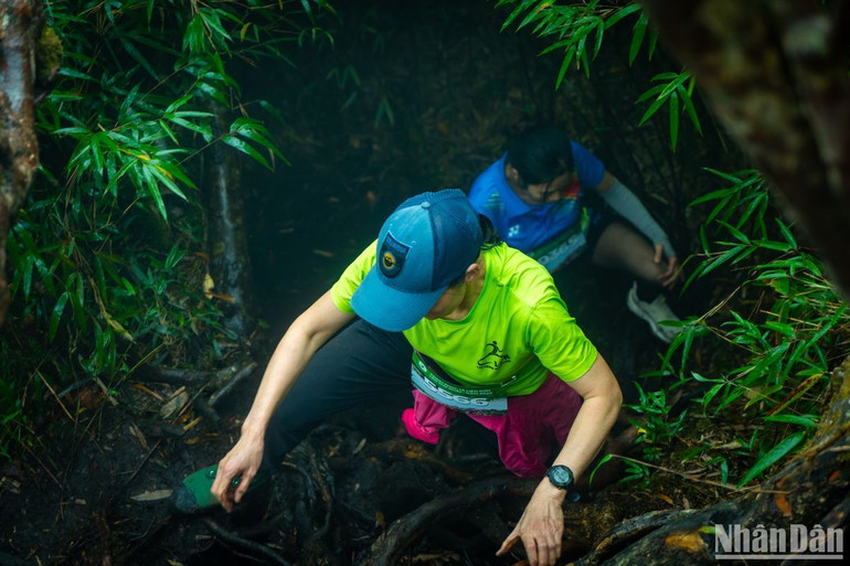 Phong cảnh hoang sơ và thảm thực vật phong phú trên cung đường chinh phục các đỉnh núi.