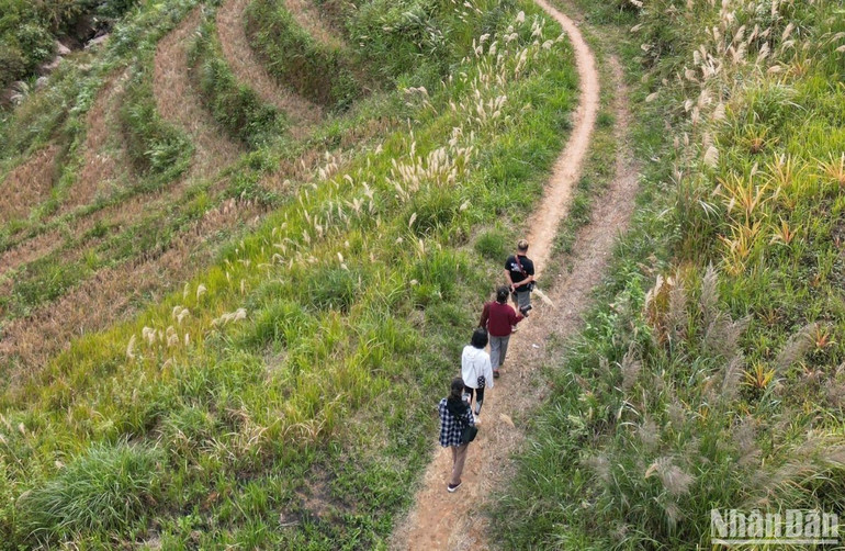 Những con đường cho du khách có nhiều trải nghiệm khi đến Tam Đường, Lai Châu.