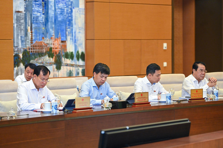 Các Ủy viên Ủy ban Thường vụ Quốc hội, lãnh đạo các Ủy ban của Quốc hội dự phiên họp.