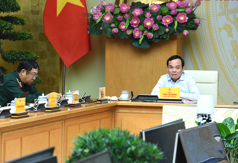 Phó Thủ tướng Chính phủ Trần Lưu Quang phát biểu.