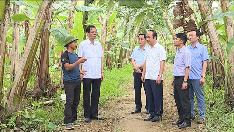 Cán bộ và người dân xã Vĩnh Chân, huyện Hạ Hòa (tỉnh Phú Thọ) trao đổi kinh nghiệm liên kết sản xuất, tiêu thụ chuối.