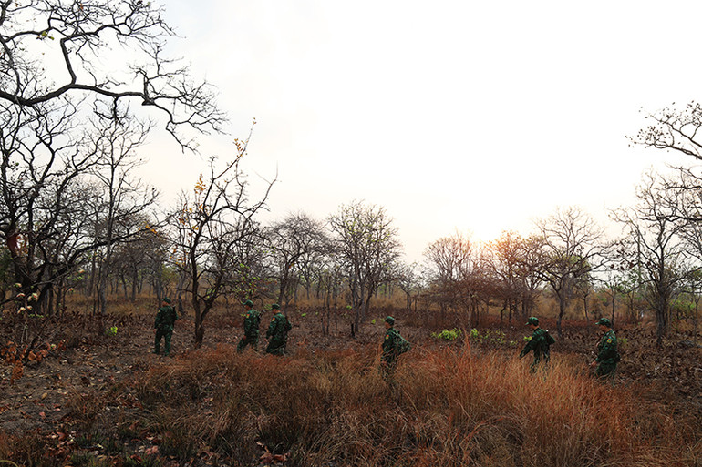 Dù là trong những ngày kỷ niệm 64 năm Ngày truyền thống Bộ đội Biên phòng (3/3/1959-3/3/2023) và 34 năm Ngày Biên phòng toàn dân (3/3/1989-3/3/2023), nhưng dưới những cánh rừng khộp mùa thay lá ở vùng biên giới Đắk Lắk vẫn xào xạc bước chân của người lính Biên phòng ngày đêm tuần tra, canh gác biên giới. Dù là trong những ngày kỷ niệm 64 năm Ngày truyền thống Bộ đội Biên phòng (3/3/1959-3/3/2023) và 34 năm Ngày Biên phòng toàn dân (3/3/1989-3/3/2023), nhưng dưới những cánh rừng khộp mùa thay lá ở vùng biên giới Đắk Lắk vẫn xào xạc bước chân của người lính Biên phòng ngày đêm tuần tra, canh gác biên giới.