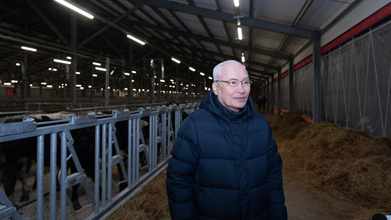 Ông Ngô Minh Hải cho biết, sau 5 tháng nữa, dự kiến những con bò đầu tiên sẽ cho sữa. (Ảnh: Thanh Thể)