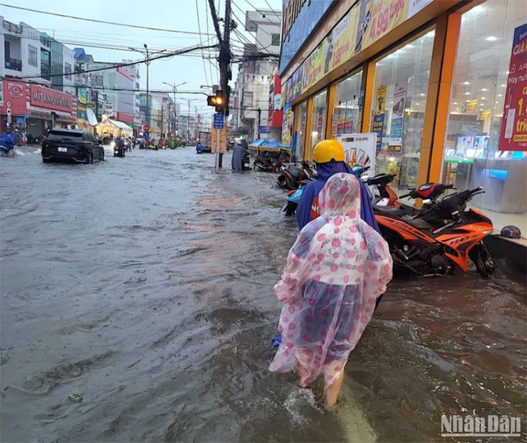 Nội ô thành phố Cà Mau bị ngập chìm trong nước, ảnh hưởng đến các hoạt động trong đời sống xã hội. Nội ô thành phố Cà Mau bị ngập chìm trong nước, ảnh hưởng đến các hoạt động trong đời sống xã hội.