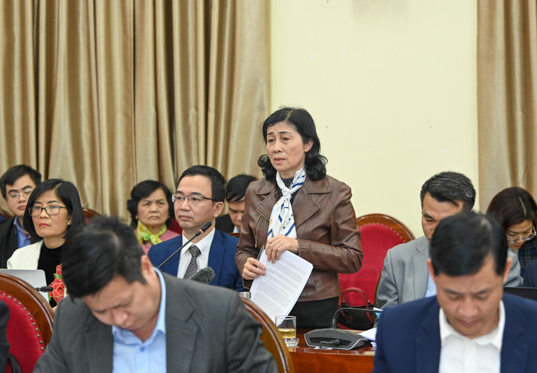 Đại biểu phát biểu tham luận tại tọa đàm. (Ảnh: Duy Linh)