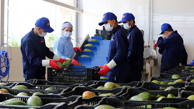 Với nguồn hàng dồi dào, Việt Nam còn nhiều tiềm năng xuất khẩu qua thương mại điện tử.