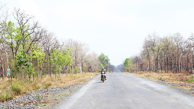 Hiện nay đang vào thời kỳ cao điểm của mùa khô Tây Nguyên, đường ra biên giới ở Đắk Lắk băng qua những khu rừng khộp mùa thay lá đẹp như một bức tranh. Hiện nay đang vào thời kỳ cao điểm của mùa khô Tây Nguyên, đường ra biên giới ở Đắk Lắk băng qua những khu rừng khộp mùa thay lá đẹp như một bức tranh.