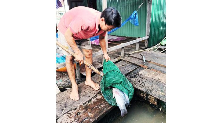 Kiểm tra cá nuôi dưới lồng.