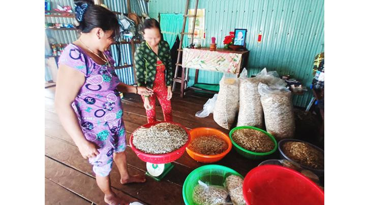 Điểm thu mua thủy sản ở trên làng bè.