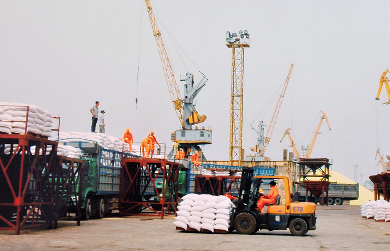 Các doanh nghiệp xuất khẩu gạo nhận được nhiều đơn hàng lớn từ châu Âu. Ảnh: BẮC SƠN Các doanh nghiệp xuất khẩu gạo nhận được nhiều đơn hàng lớn từ châu Âu. Ảnh: BẮC SƠN