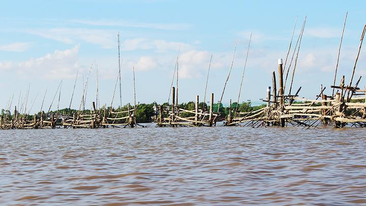 Đóng đáy trên sông Cồn Tròn.