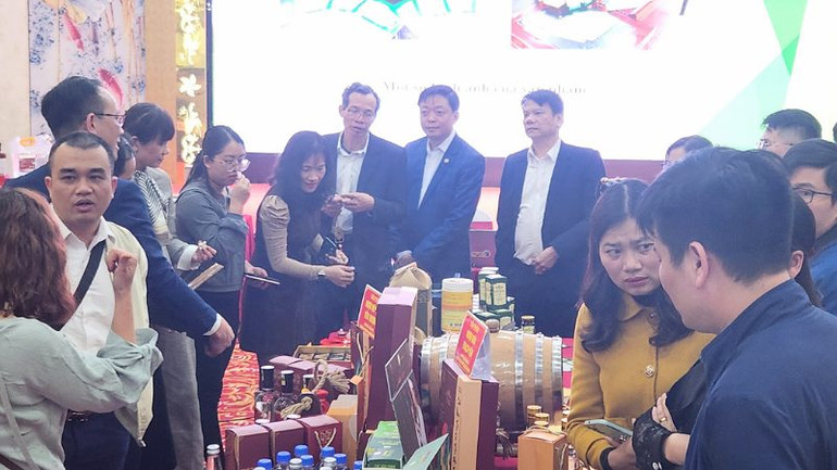 Hội đồng đánh giá, phân hạng các sản phẩm OCOP tỉnh Hòa Bình năm 2023.