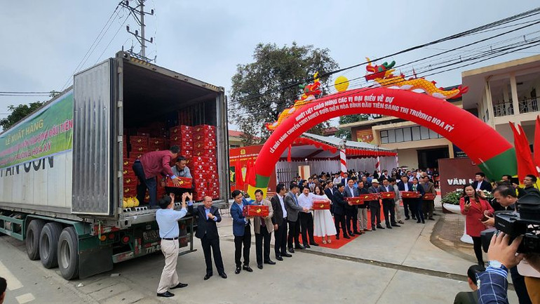 Chuyển hàng lên container xuất khẩu sang Hoa Kỳ.