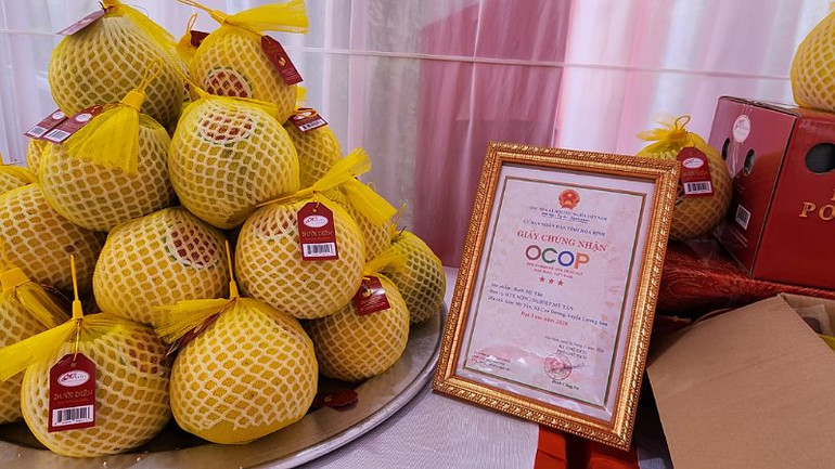 Bưởi Diễn Lương Sơn được xuất khẩu phải trải qua rất nhiều công đoạn và kiểm định đã đáp ứng các tiêu chuẩn về mẫu mã, độ Brix và 900 hoạt chất do Phòng Kiểm nghiệm được Hoa Kỳ chấp nhận cho xuất khẩu.