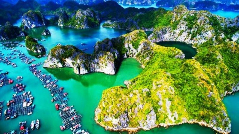 Khu dự trữ sinh quyển Cát Bà, Hải Phòng (Ảnh: UNDP)