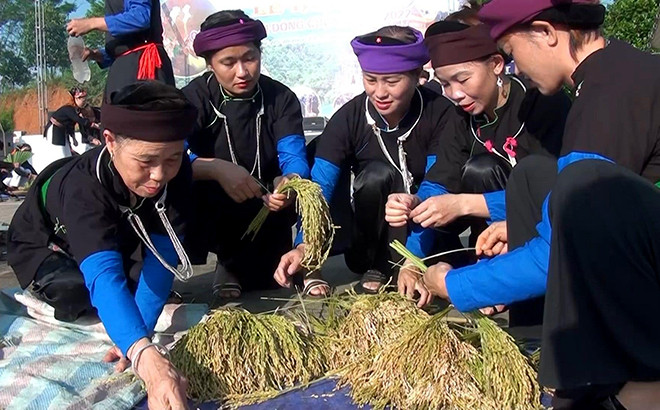 Đồng bào Tày Khao xã Đông Cuông chuẩn bị lúa nếp làm cốm.