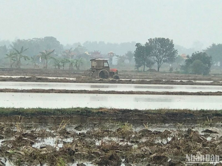 Hải Dương kết thúc đợt 1 lấy nước được cho trên 6.300ha.