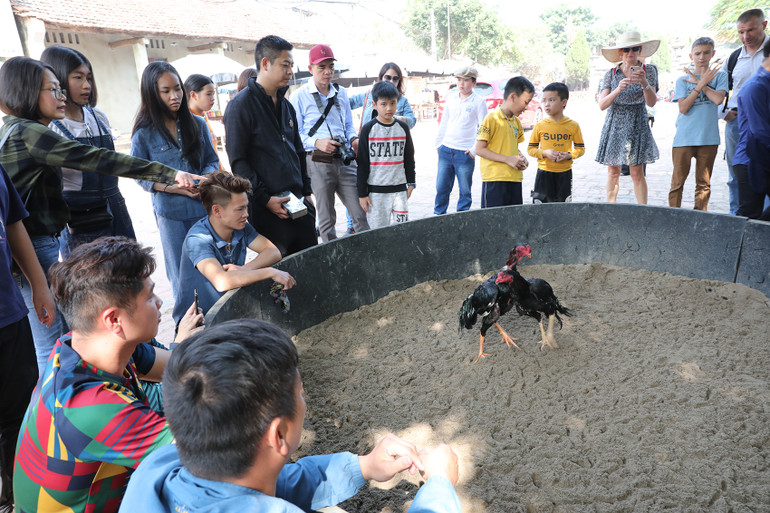 Không thể thiếu sới chọi gà ngày tết.