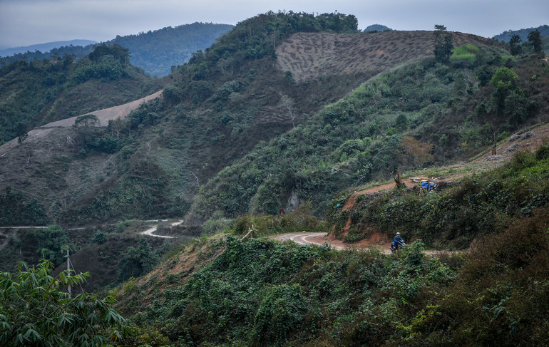 Thượng tá Thúy đã quen với những ngày ăn rừng, ngủ suối để đánh án ma túy. (Ảnh minh họa) Thượng tá Thúy đã quen với những ngày ăn rừng, ngủ suối để đánh án ma túy. (Ảnh minh họa)