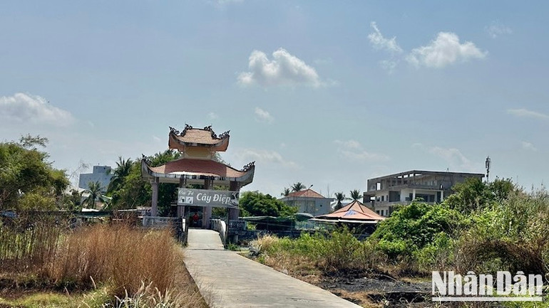 Một nửa công viên văn hóa Trần Huỳnh (phường 7, thành phố Bạc Liêu), được cho là khu &quot;đất vàng&quot;, nhưng vẫn bỏ hoang, cỏ mọc um tùm hơn 30 năm qua. (Ảnh: TRỌNG DUY)